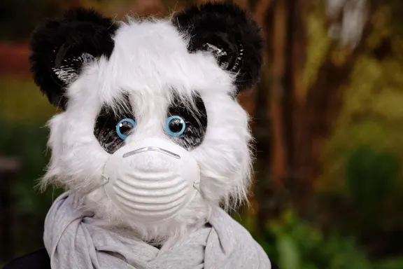 كازينو أوف دريمز الدعم